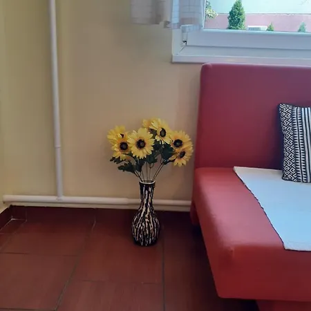Guest house Kurca-parti Vendeghaz *