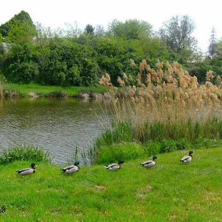 Kurca-parti 3* Szentes